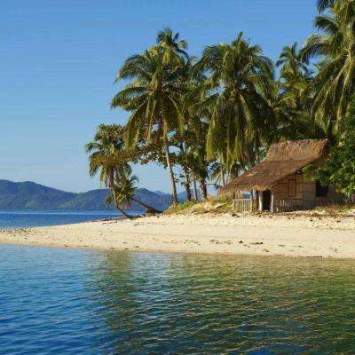 尊龙手机版下载